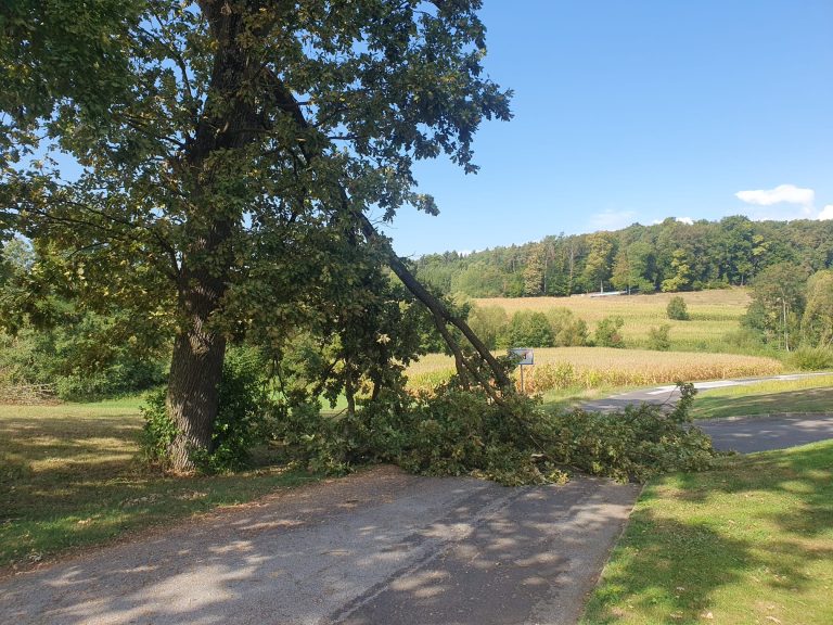 Baum über Straße
