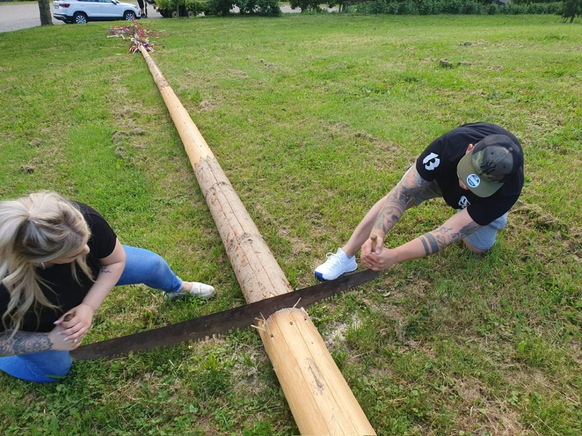 Maibaum1