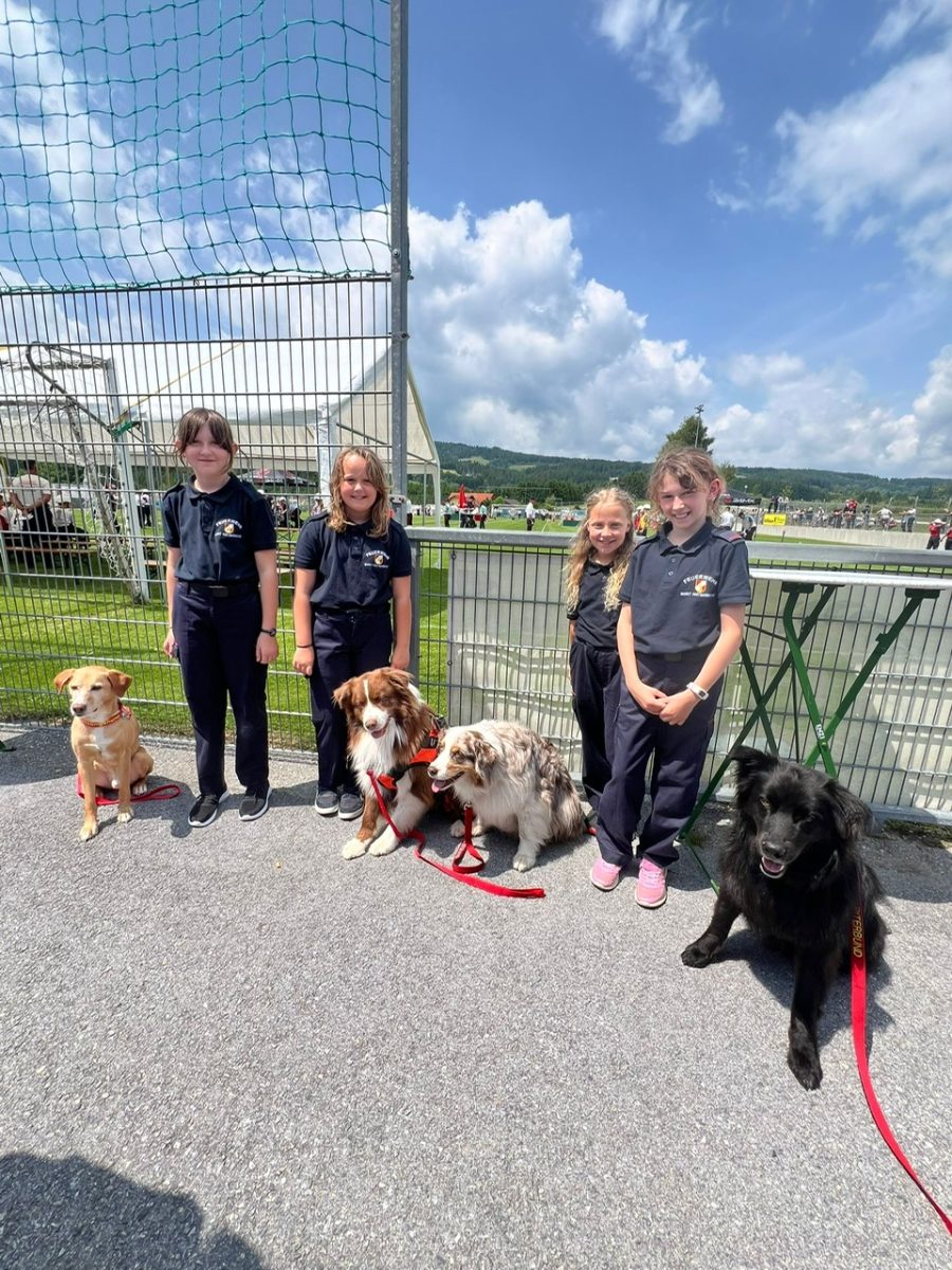 6572f941-72bb-4ee9-8479-e76447f5b1f9-1