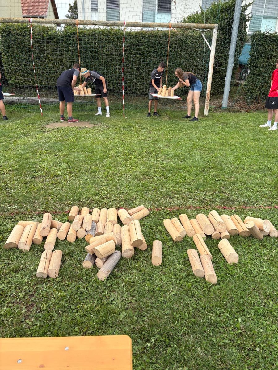 9319db05-aa76-42cf-a746-2ccd5ccc3c1d