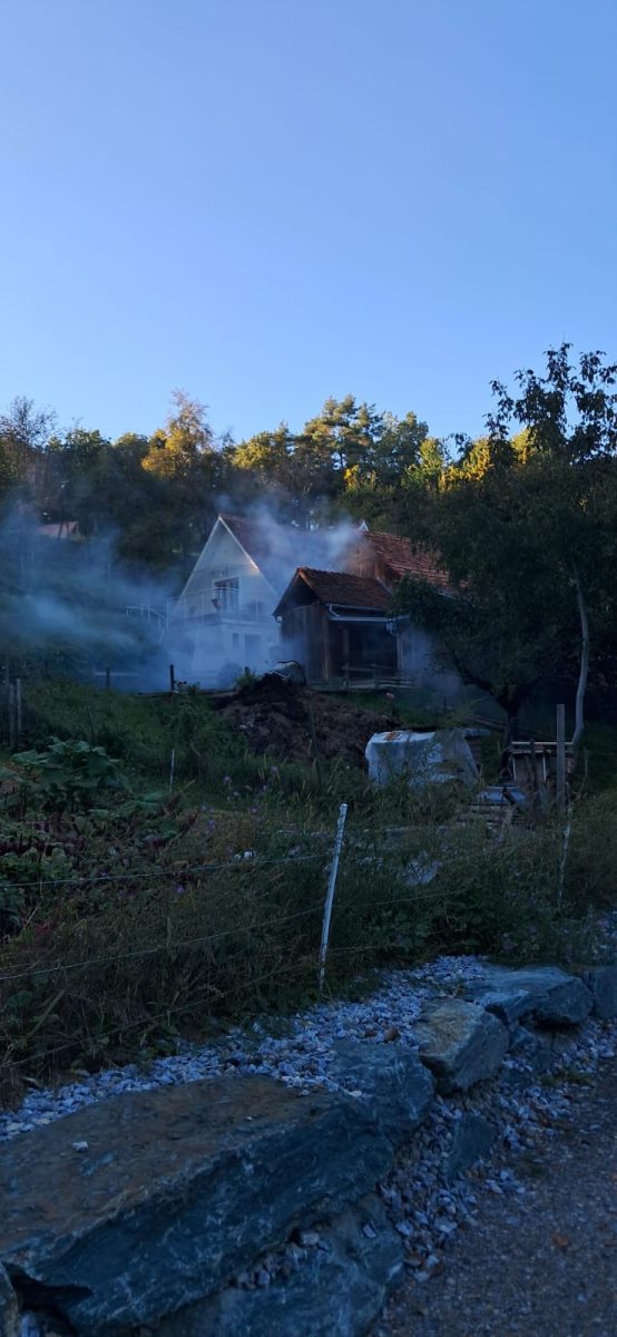 03ecad94-93b0-40fe-9347-a45e6b181a3c