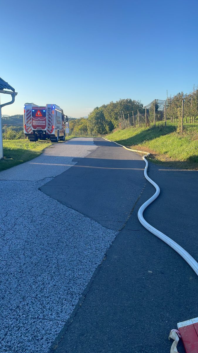 1A74AD1D-BA40-4A31-9C3A-BAA3ED4F1991