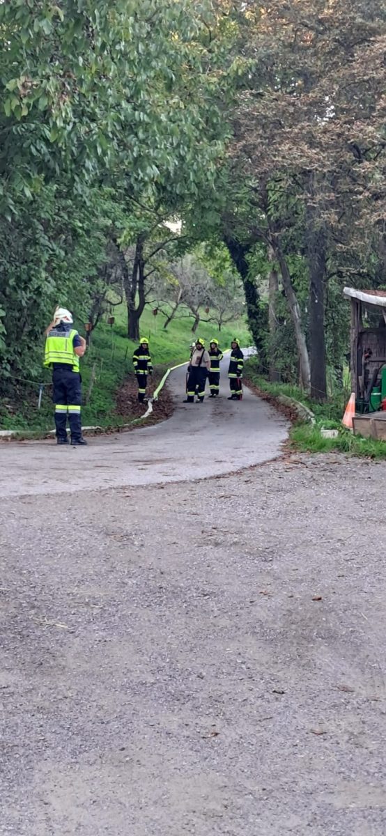 32d3c778-6331-4f3b-bf6e-4ff76dd02668