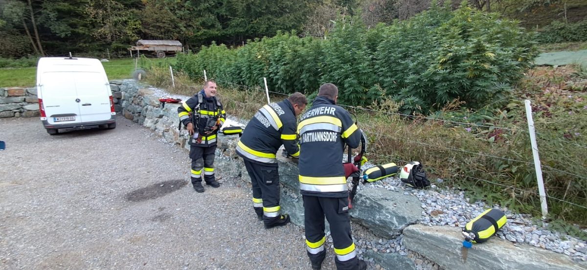 43646a78-ddb0-4cff-8703-30204728aff9