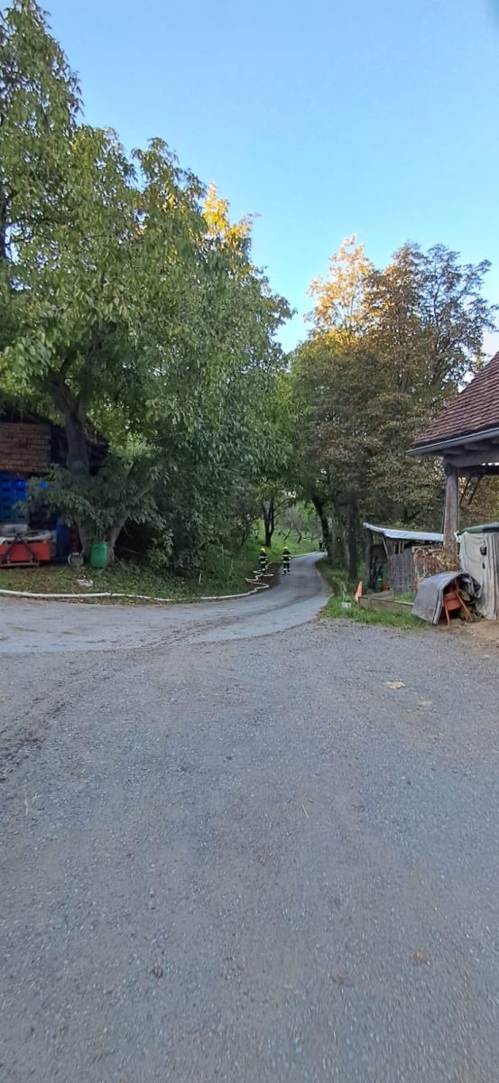 98c28d6b-81fa-4acb-9854-5f3ebd2897df