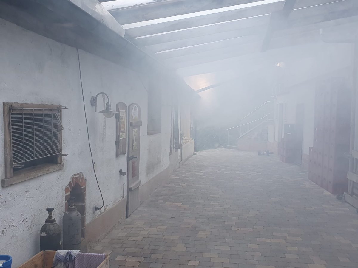 bd8f2498-2e62-402f-ad9e-03eb232b9e8d