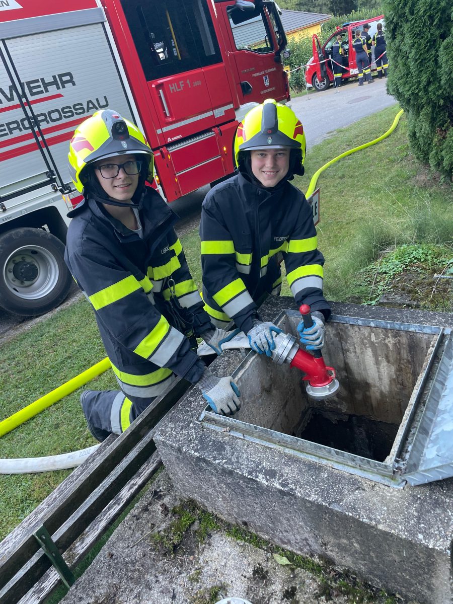 d479fc45-34cf-4fa5-88f1-3c79f342ce89