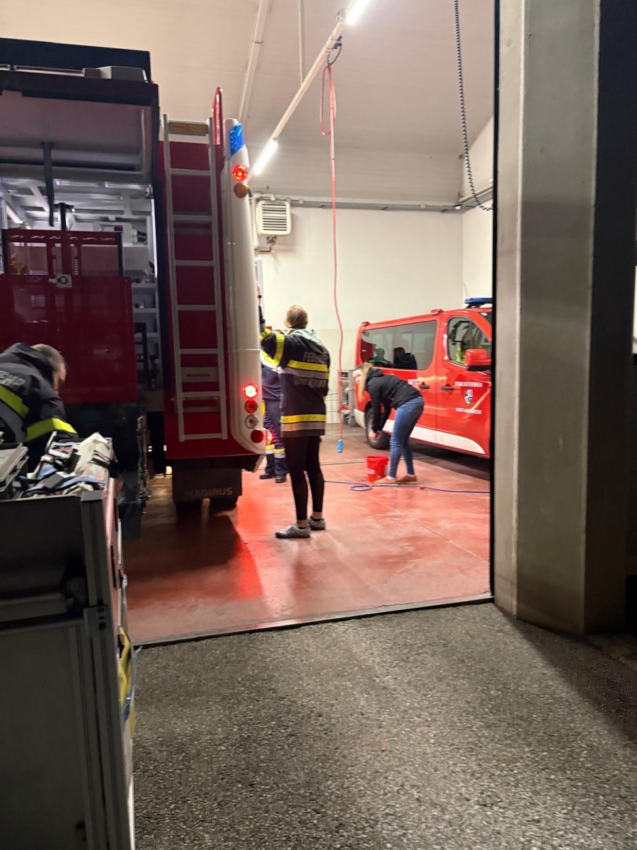 d228d1e0-1743-4758-8eaf-3ccef63c4eb1