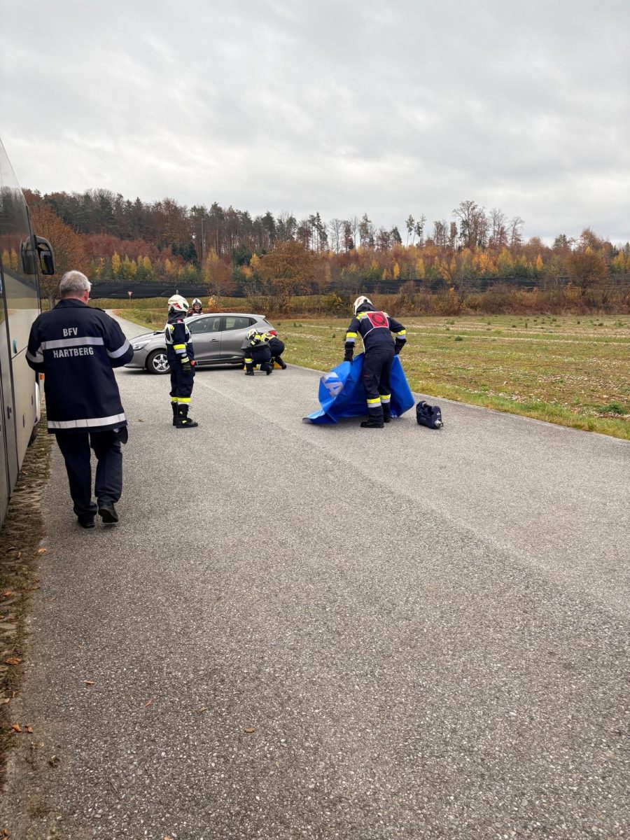 88cc2868-8628-4e74-a55b-95c958b8d328