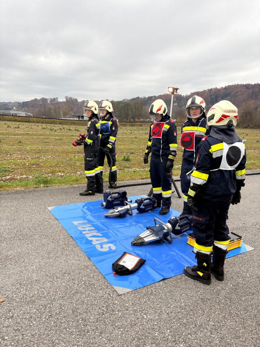 8c178d2b-aa14-4fb4-a2da-dae6a8e1f6b7