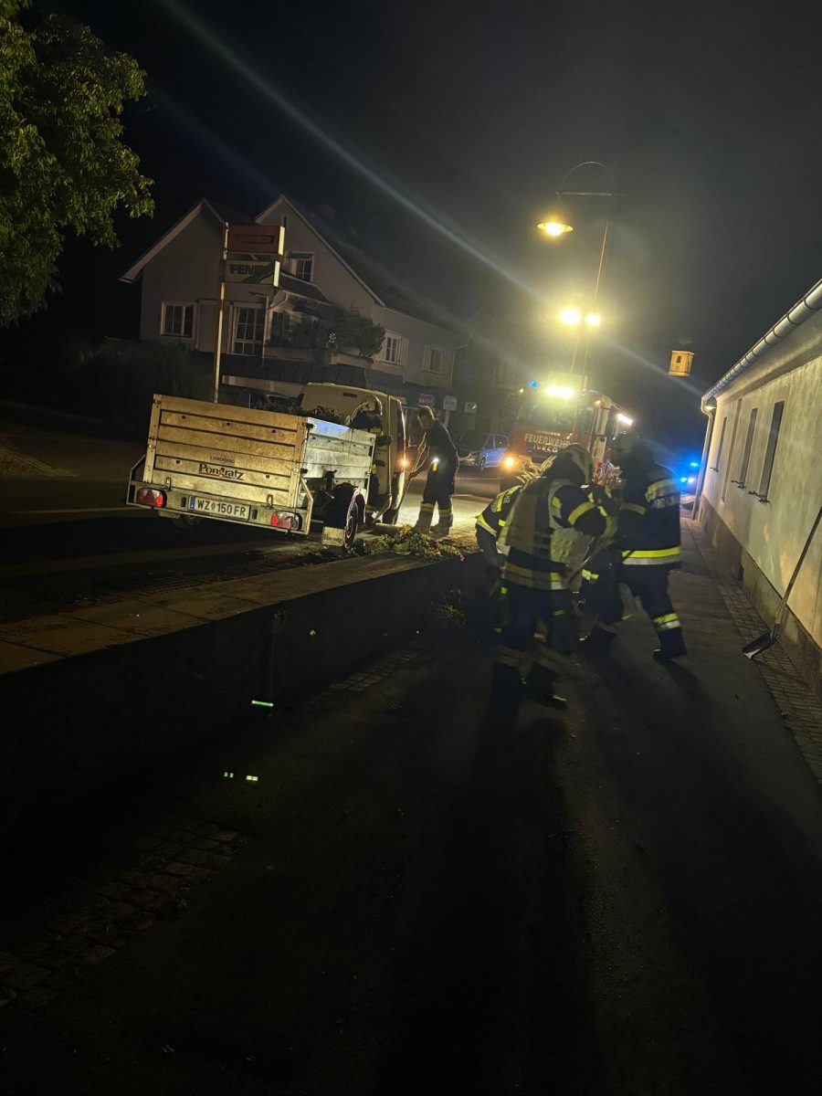 WhatsApp-Bild-2025-08-26-um-22.51.19 c4f6081c